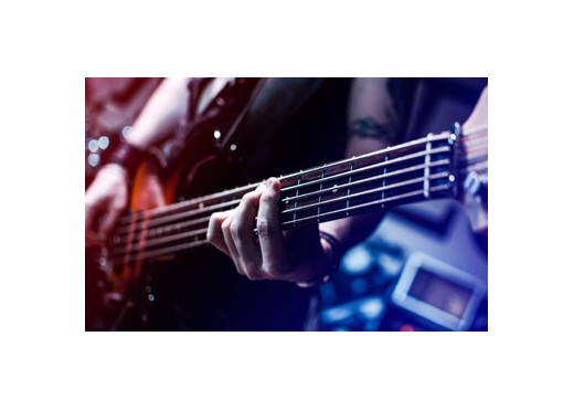 Tickets Fur Wirtz 22 03 2020 19 00 In Haus Auensee Leipzig Tixwaves